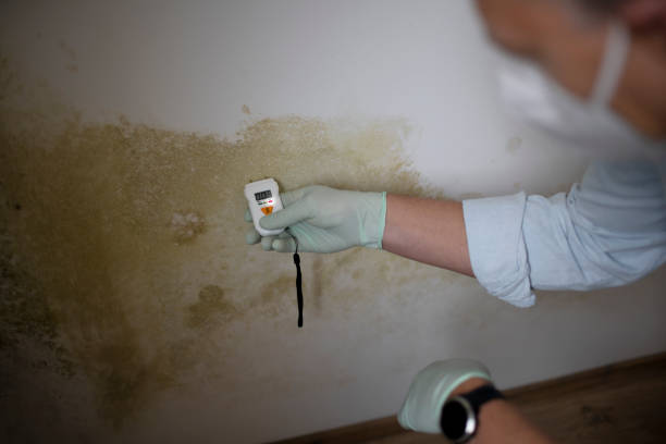 Best HVAC Mold Remediation in Elkhart, KS