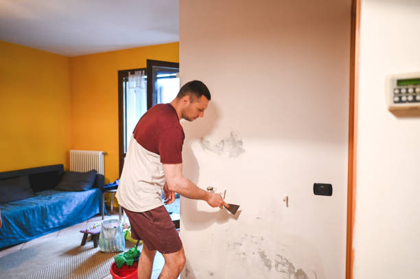 Best Mold Testing and Inspection Services in Elkhart, KS